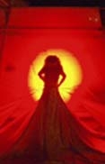 Fringe Festival Round-Up!